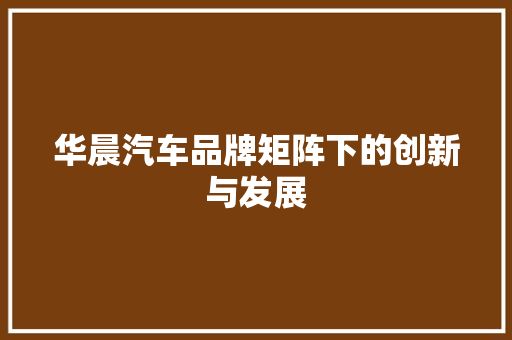 华晨汽车品牌矩阵下的创新与发展 汽车常识