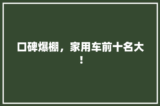 口碑爆棚，家用车前十名大！