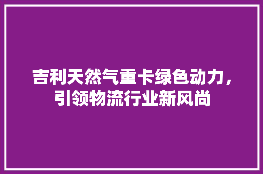 吉利天然气重卡绿色动力，引领物流行业新风尚