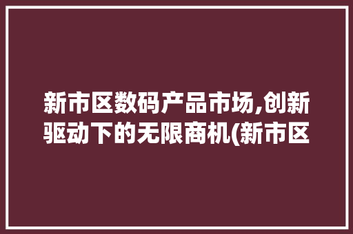 新市区数码产品市场,创新驱动下的无限商机(新市区卖数码产品)