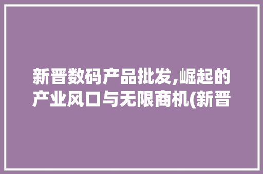新晋数码产品批发,崛起的产业风口与无限商机(新晋数码产品批发)
