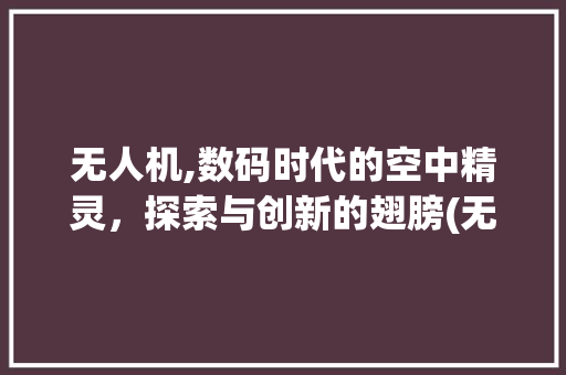 无人机,数码时代的空中精灵，探索与创新的翅膀(无人机是数码产品) 时尚穿搭