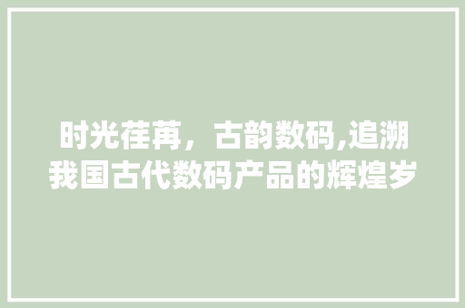 时光荏苒，古韵数码,追溯我国古代数码产品的辉煌岁月(古时候的数码产品)