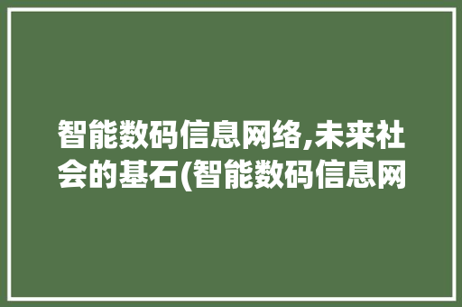 智能数码信息网络,未来社会的基石(智能数码信息网络)