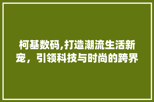 柯基数码,打造潮流生活新宠，引领科技与时尚的跨界融合(柯基数码产品图片)