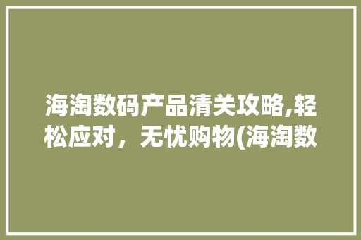 海淘数码产品清关攻略,轻松应对，无忧购物(海淘数码产品清关)