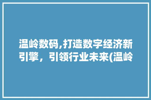 温岭数码,打造数字经济新引擎，引领行业未来(温岭数码招聘信息)