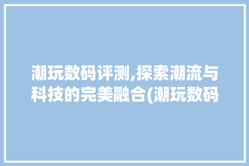 潮玩数码评测,探索潮流与科技的完美融合(潮玩数码评测报告)