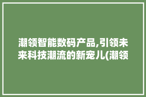 潮领智能数码产品,引领未来科技潮流的新宠儿(潮领智能数码产品)