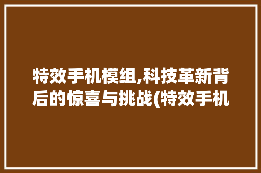 特效手机模组,科技革新背后的惊喜与挑战(特效手机模组)