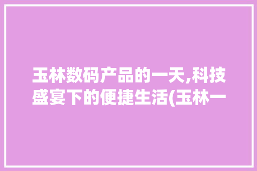 玉林数码产品的一天,科技盛宴下的便捷生活(玉林一天数码产品)