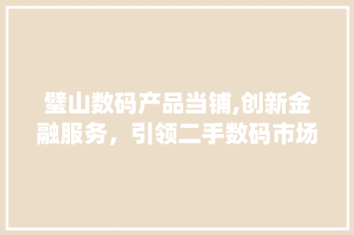 璧山数码产品当铺,创新金融服务，引领二手数码市场新潮流(璧山数码产品当铺)