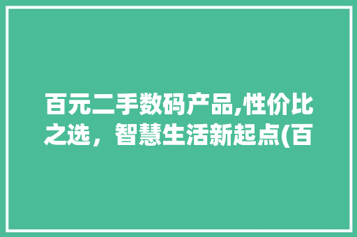 百元二手数码产品,性价比之选，智慧生活新起点(百元二手数码产品) 手机电脑