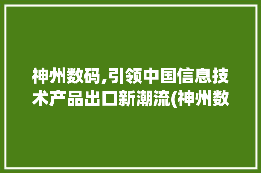 神州数码,引领中国信息技术产品出口新潮流(神州数码产品岀口) 旅游攻略