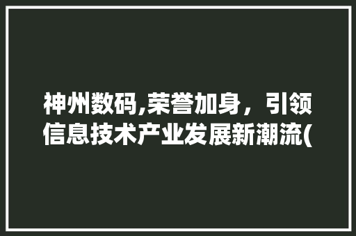 神州数码,荣誉加身，引领信息技术产业发展新潮流(神州数码信息奖项)