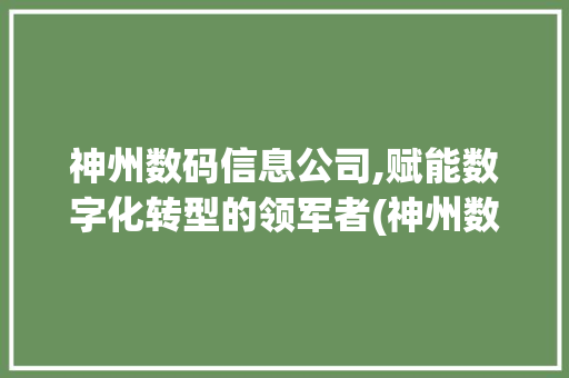 神州数码信息公司,赋能数字化转型的领军者(神州数码信息公司)