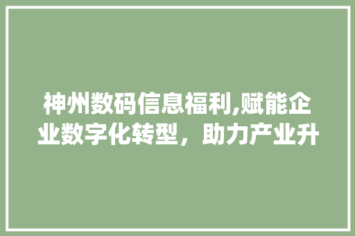 神州数码信息福利,赋能企业数字化转型，助力产业升级(神州数码信息福利)