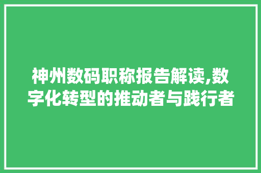 神州数码职称报告解读,数字化转型的推动者与践行者(神州数码职称报告)