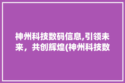神州科技数码信息,引领未来，共创辉煌(神州科技数码信息)