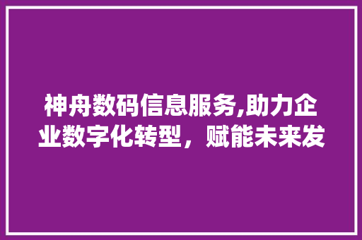 神舟数码信息服务,助力企业数字化转型，赋能未来发展(神舟数码信息服务)