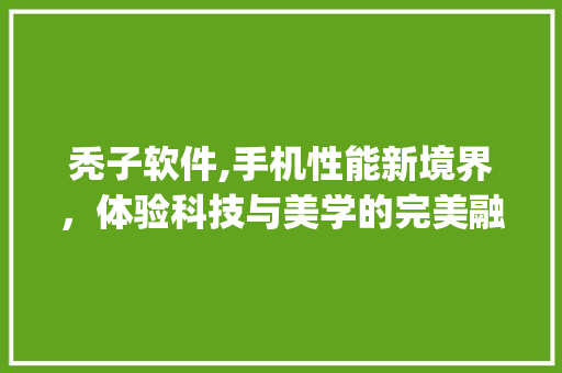 秃子软件,手机性能新境界，体验科技与美学的完美融合(手机秃子软件)