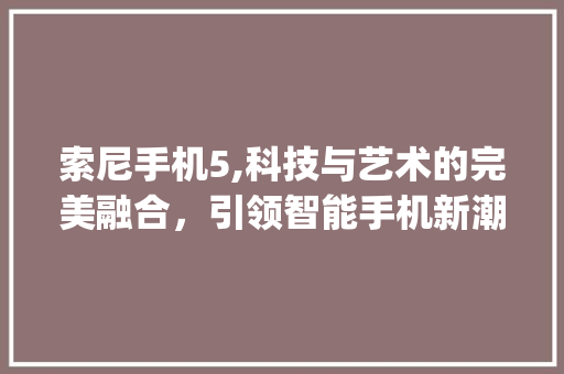 索尼手机5,科技与艺术的完美融合，引领智能手机新潮流(索尼手机5 ) 手机电脑