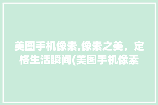 美图手机像素,像素之美，定格生活瞬间(美图手机像素) 手机电脑
