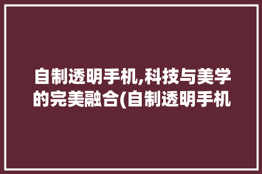 自制透明手机,科技与美学的完美融合(自制透明手机) 教育法律