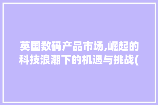 英国数码产品市场,崛起的科技浪潮下的机遇与挑战(英国够吗数码产品)