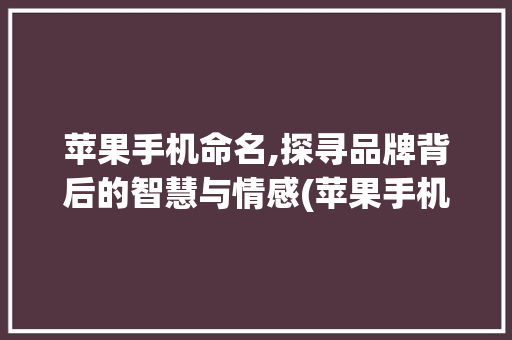 苹果手机命名,探寻品牌背后的智慧与情感(苹果手机命名)