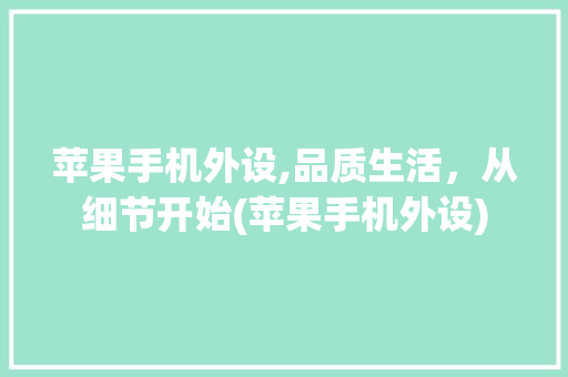 苹果手机外设,品质生活，从细节开始(苹果手机外设)