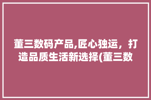 董三数码产品,匠心独运，打造品质生活新选择(董三数码产品老婆) 旅游攻略