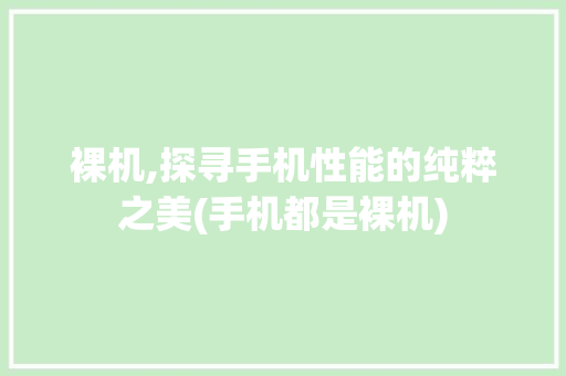 裸机,探寻手机性能的纯粹之美(手机都是裸机)