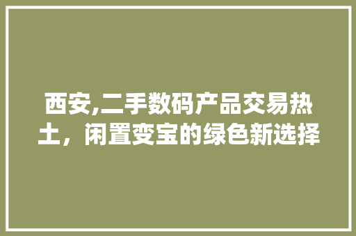 西安,二手数码产品交易热土，闲置变宝的绿色新选择(二手数码产品西安)