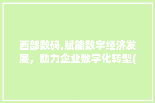 西部数码,赋能数字经济发展，助力企业数字化转型(西部数码信息模板)