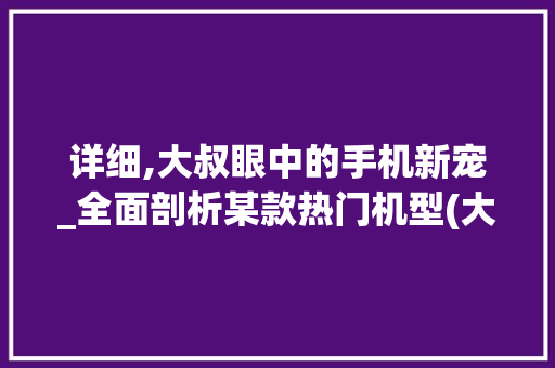 详细,大叔眼中的手机新宠_全面剖析某款热门机型(大叔开箱手机)