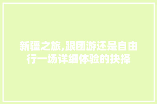 新疆之旅,跟团游还是自由行一场详细体验的抉择
