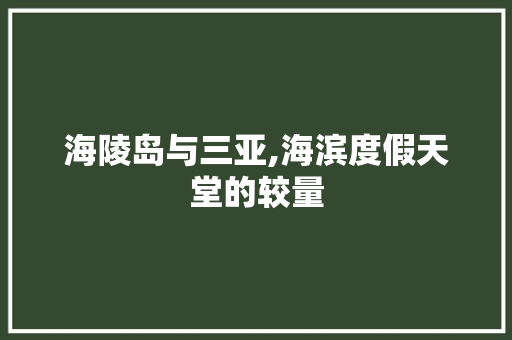 海陵岛与三亚,海滨度假天堂的较量 美食菜谱