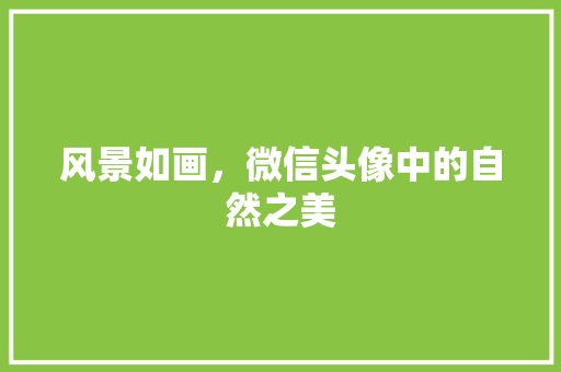 风景如画，微信头像中的自然之美 旅游攻略