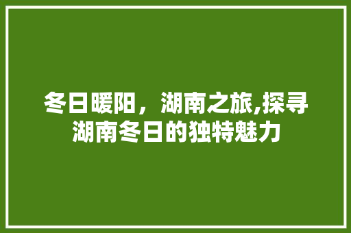 冬日暖阳，湖南之旅,探寻湖南冬日的独特魅力 旅游攻略