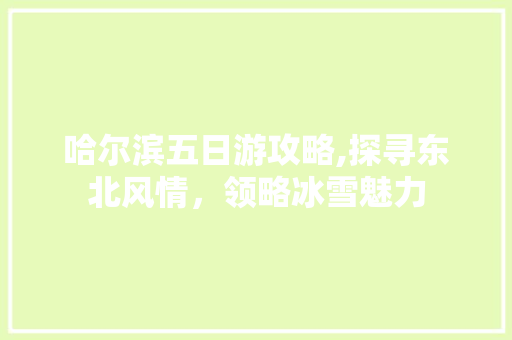 哈尔滨五日游攻略,探寻东北风情，领略冰雪魅力 旅游攻略
