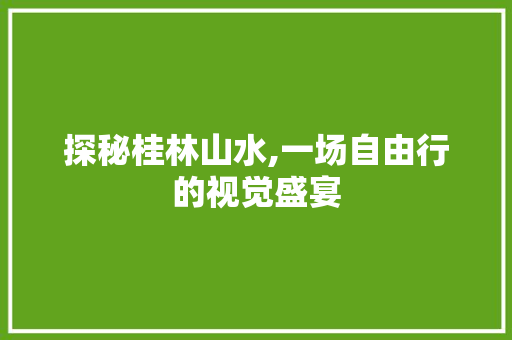 探秘桂林山水,一场自由行的视觉盛宴 旅游攻略