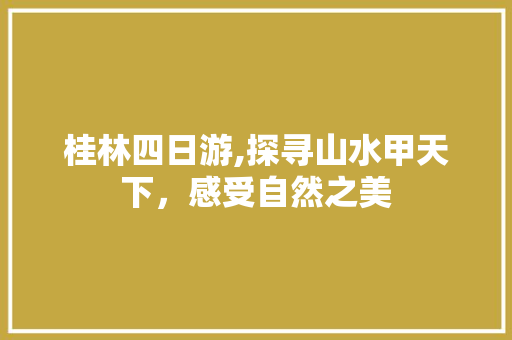 桂林四日游,探寻山水甲天下，感受自然之美 旅游攻略