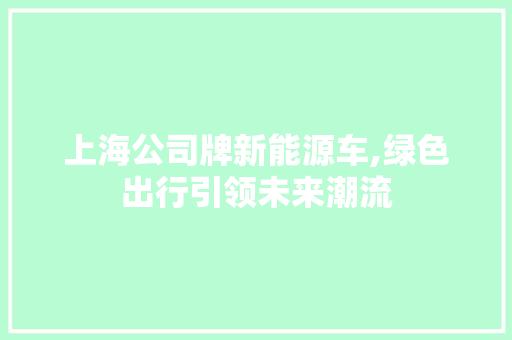 上海公司牌新能源车,绿色出行引领未来潮流 汽车常识
