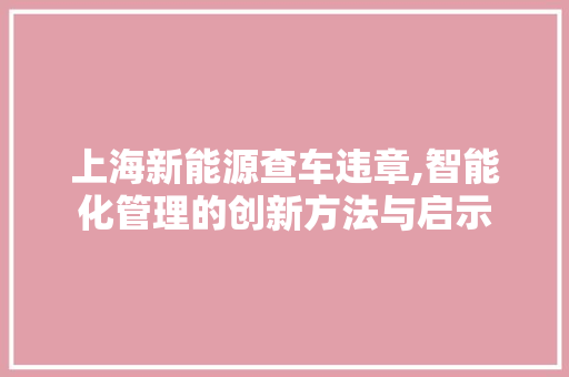 上海新能源查车违章,智能化管理的创新方法与启示