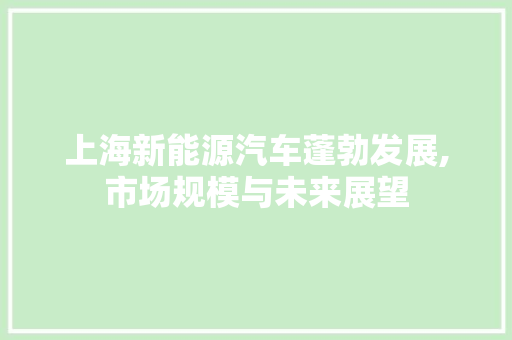 上海新能源汽车蓬勃发展,市场规模与未来展望