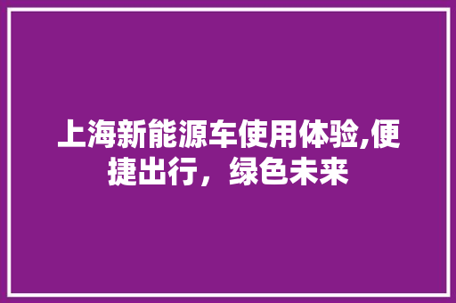 上海新能源车使用体验,便捷出行，绿色未来 汽车常识