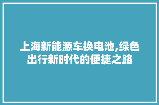 上海新能源车换电池,绿色出行新时代的便捷之路