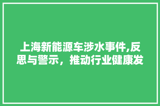 上海新能源车涉水事件,反思与警示，推动行业健康发展