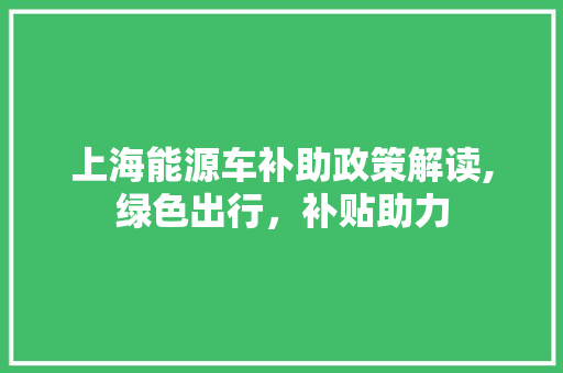 上海能源车补助政策解读,绿色出行，补贴助力